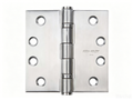 Double Ball Bearing Hinge